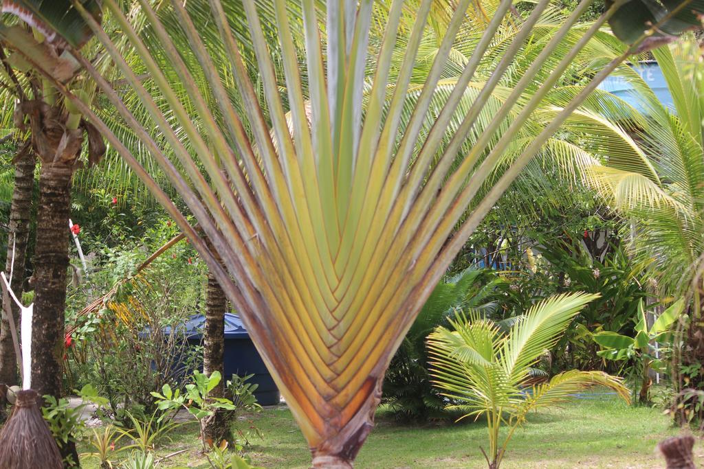 Pousada Quartinho De Praia Boipeba Island エクステリア 写真
