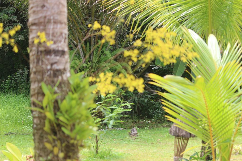 Pousada Quartinho De Praia Boipeba Island エクステリア 写真