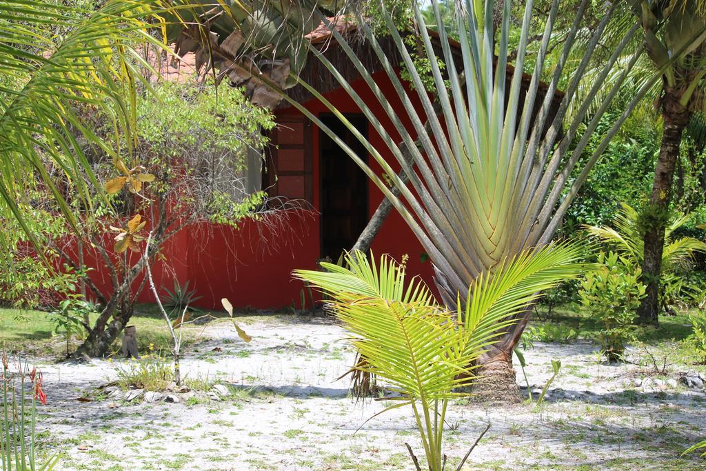 Pousada Quartinho De Praia Boipeba Island 部屋 写真